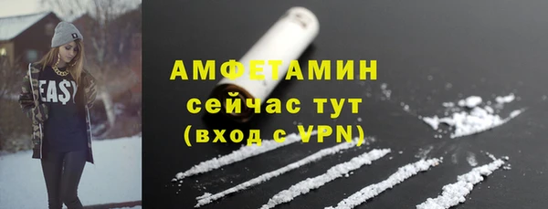бошки Алексин
