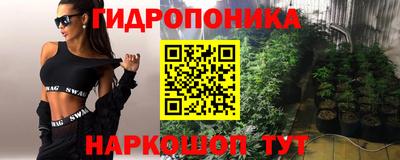 кокс Берёзовский